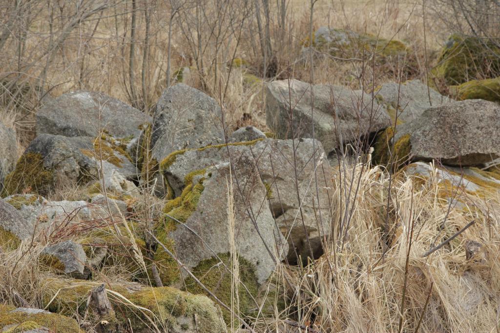 Lesesetinriegel und Lesesteinhaufen schaffen ein eigenes Mikroklima mit speziellen Bedingungen für Fauna und Flora © Harald Komposch Lesesetinriegel und Lesesteinhaufen schaffen ein eigenes Mikroklima mit speziellen Bedingungen für Fauna und Flora