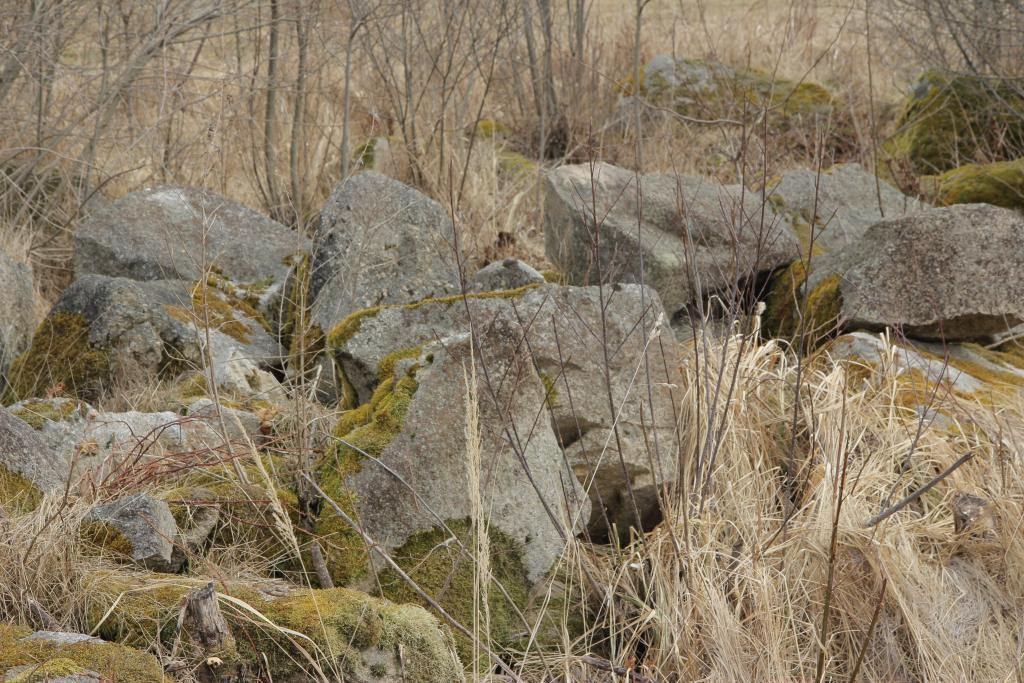 Lesesetinriegel und Lesesteinhaufen schaffen ein eigenes Mikroklima mit speziellen Bedingungen für Fauna und Flora