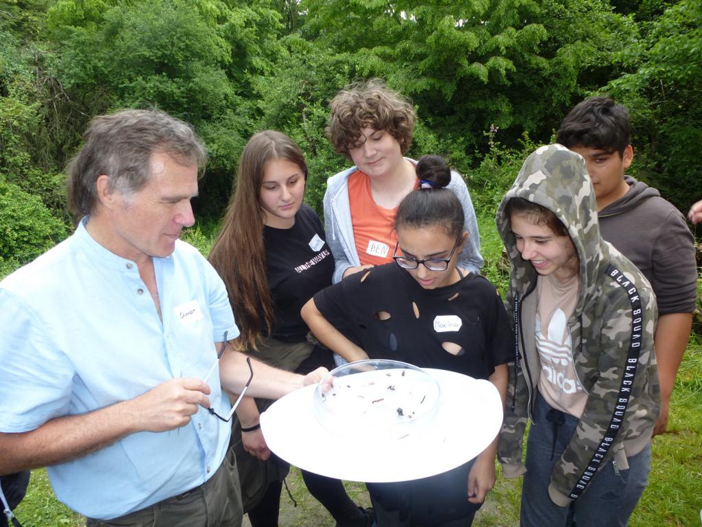 Beobachten von Wiesentieren mit der NMS Graz-St. Johann © UBZ Beobachten von Wiesentieren mit der NMS Graz-St. Johann