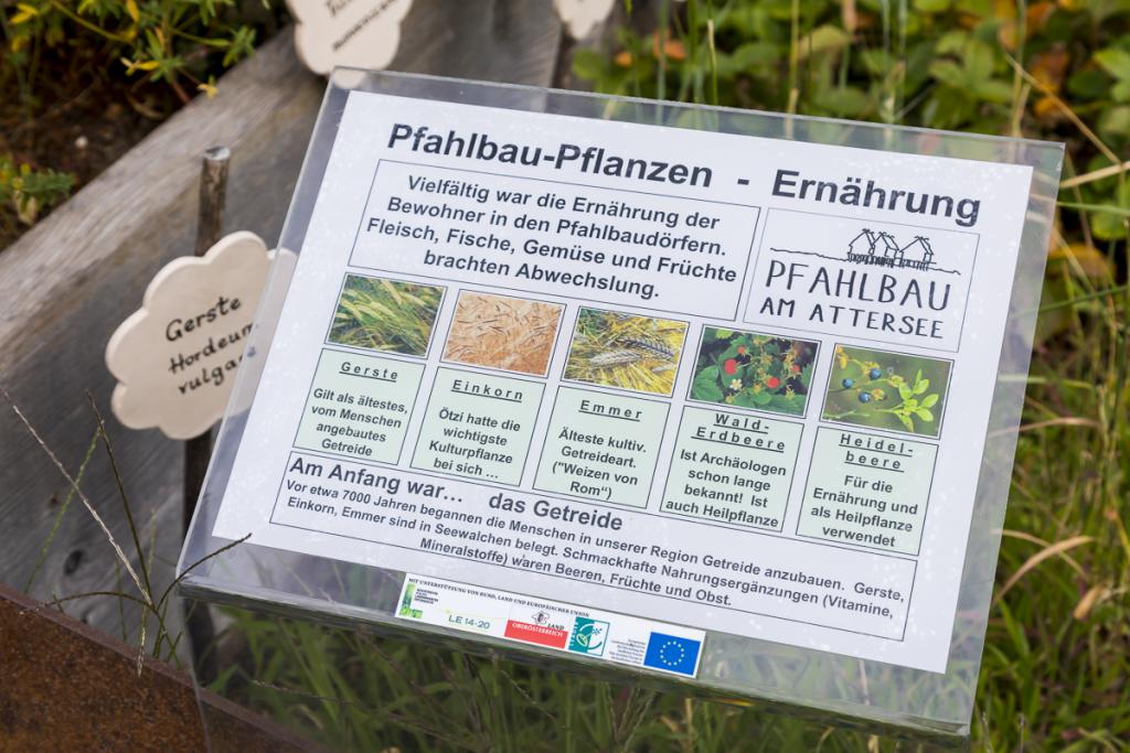 Steinzeit-Kräutergarten beim Pfahlbau-Pavillon in Seewalchen am Attersee