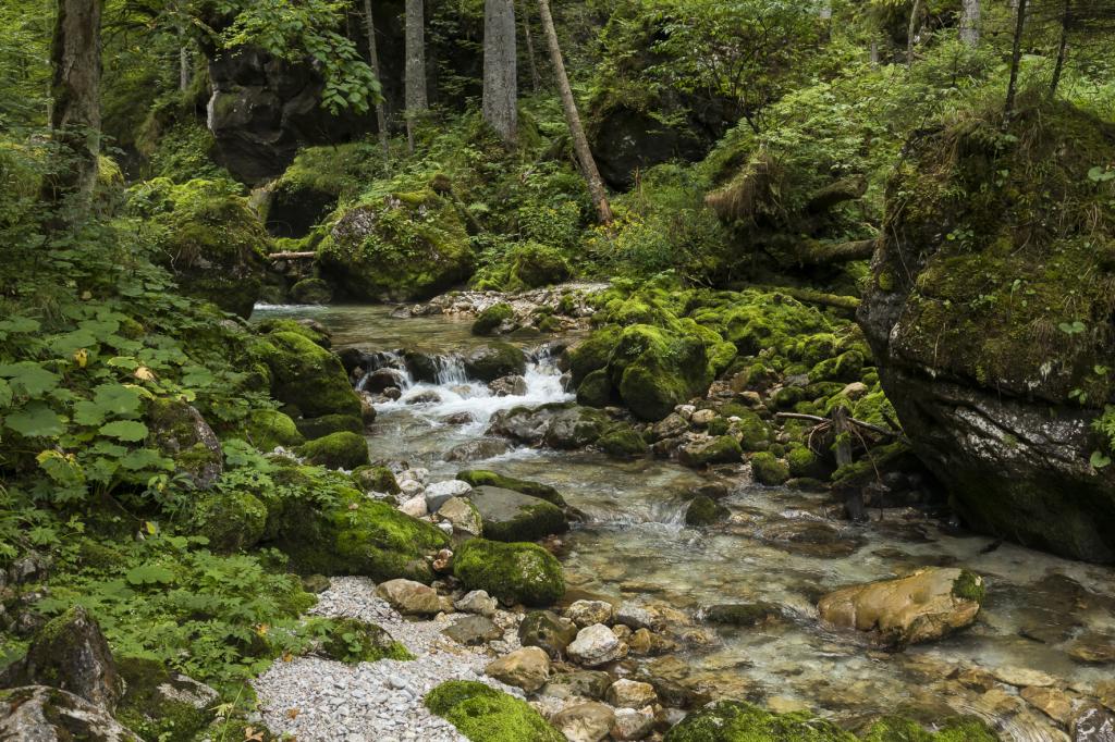 Bach im Hartelsgraben (Nationalpark Gesäuse) © Uwe Grinzinger Bach im Hartelsgraben (Nationalpark Gesäuse)