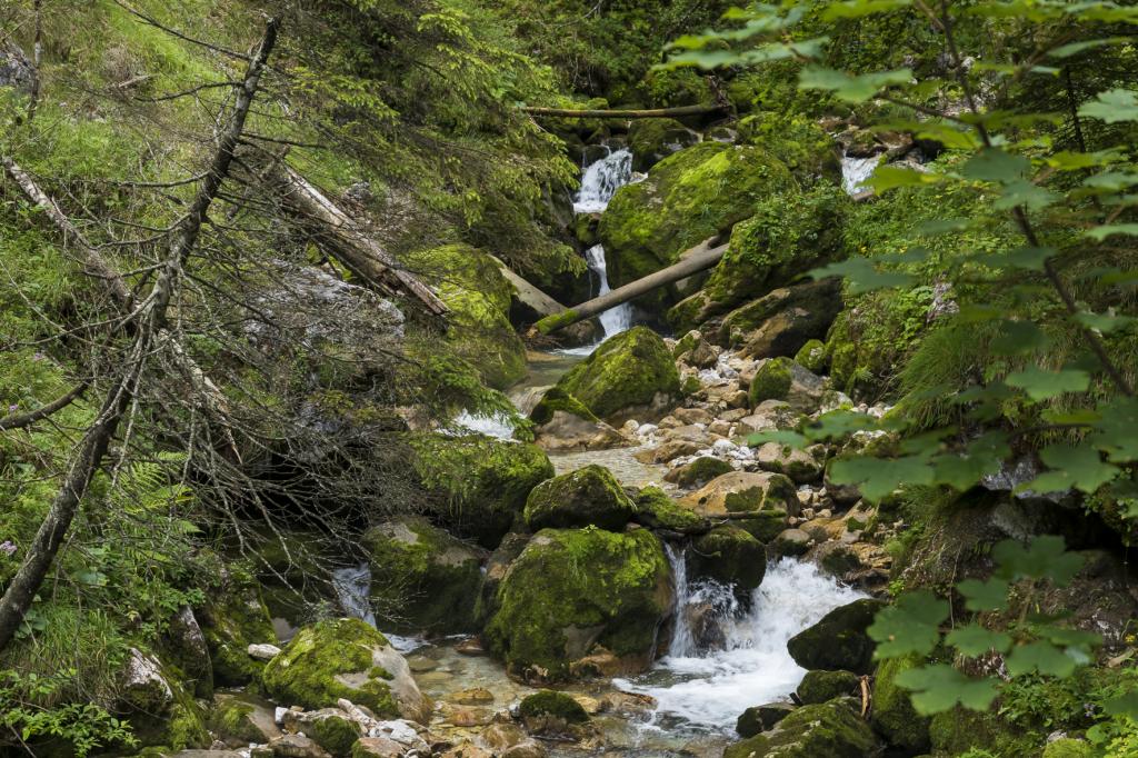 Hartelsgraben, Nationalpark Gesäuse © Uwe Grinzinger Hartelsgraben, Nationalpark Gesäuse