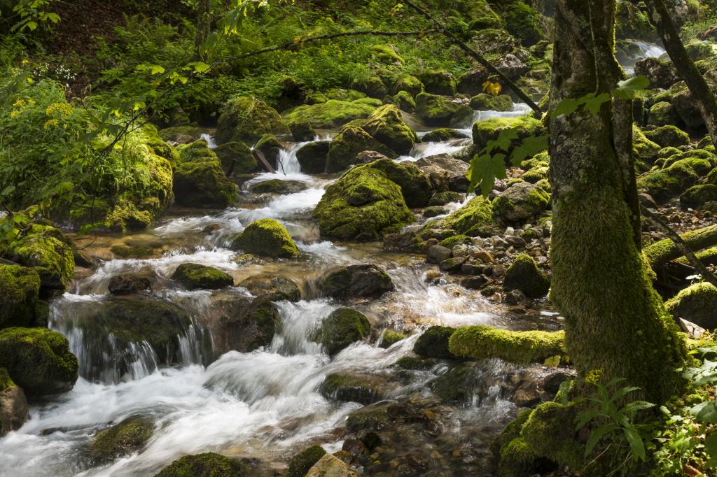 Bach im Hartelsgraben, Nationalpark Gesäuse © Uwe Grinzinger Bach im Hartelsgraben, Nationalpark Gesäuse