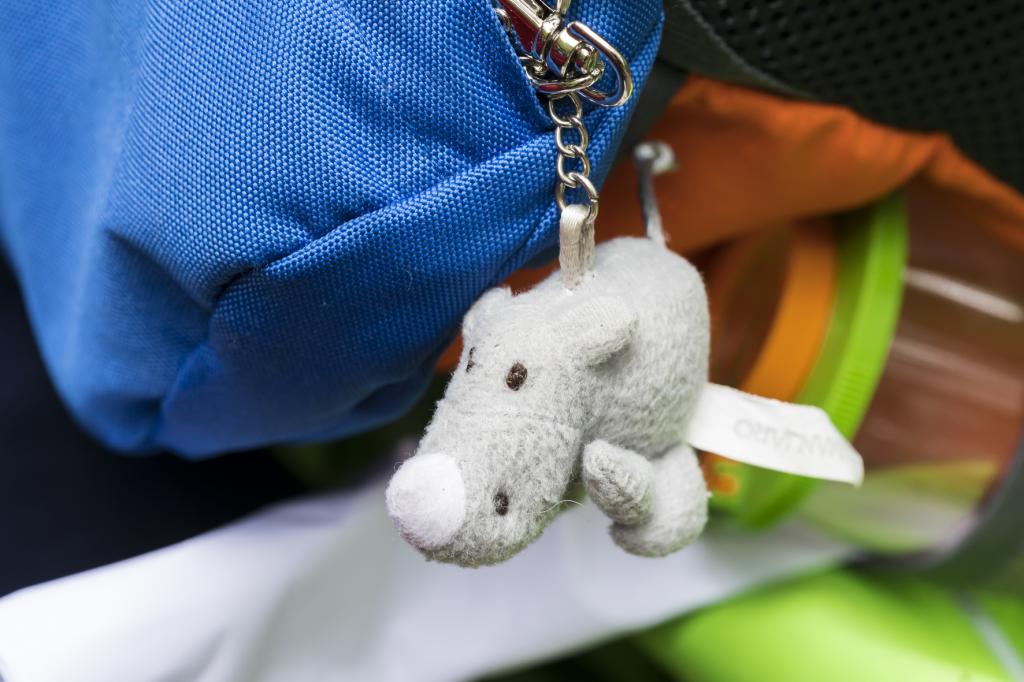 Kinder-Rucksack-Anhänger © Uwe Grinzinger Kinder-Rucksack-Anhänger