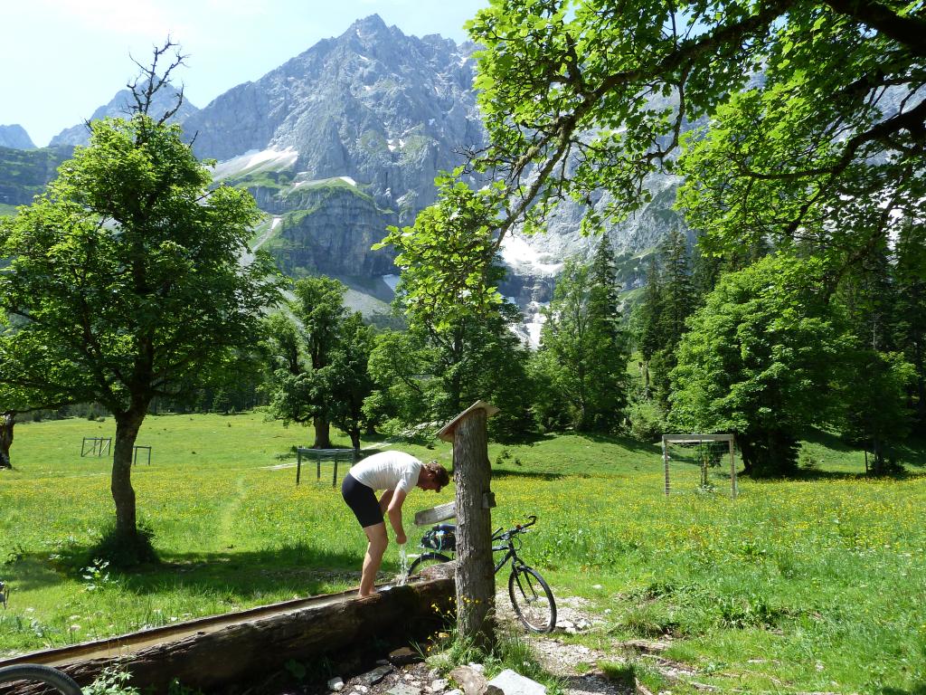 Alte Ahornbäume prägen das Bild am Großen Ahornboden.