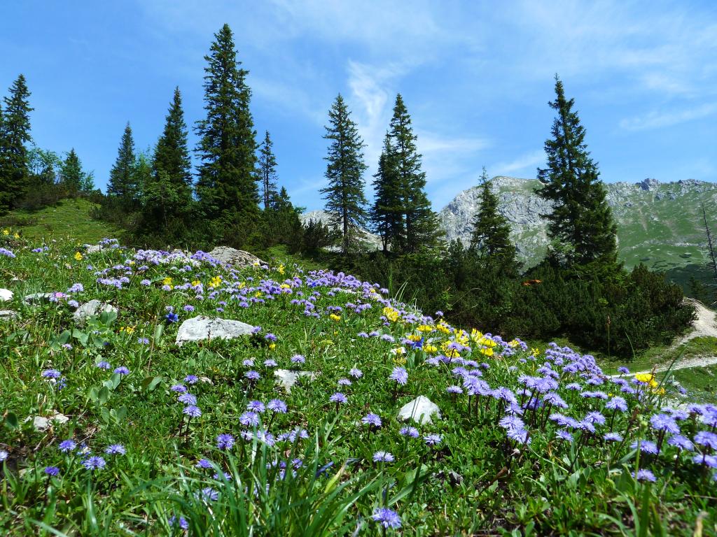 Vielfalt im Naturpark Karwendel © Ch. Schwann Vielfalt im Naturpark Karwendel