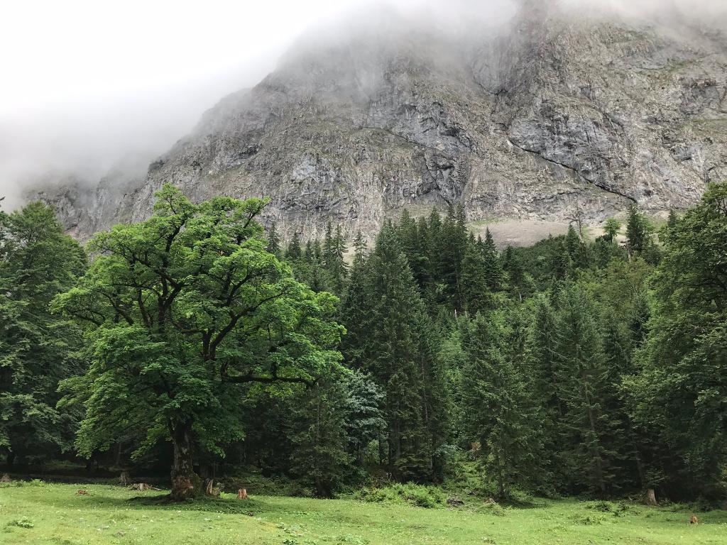 Die Weideflächen im Lalidertal sind rar und brauchen viel Pflege. © Ch. Schwann Die Weideflächen im Lalidertal sind rar und brauchen viel Pflege.