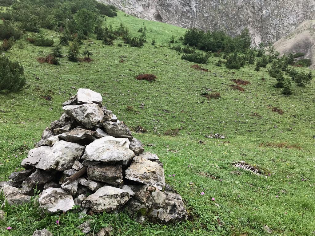 Steinriegel sind ein begehrter Lebensraum und fördern die Artenvielfalt. © Ch. Schwann Steinriegel sind ein begehrter Lebensraum und fördern die Artenvielfalt.
