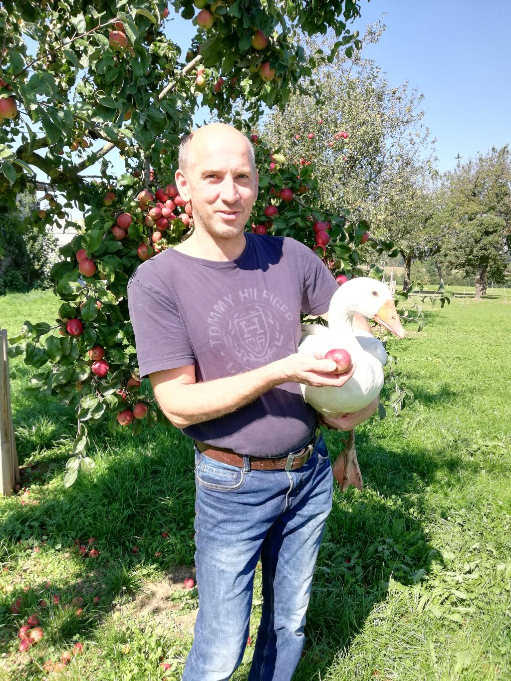 Weidegans mit Streuobstgarten © Verein Österreichische Weidegans/Heidi Hebesberger Österreichische Weidegans