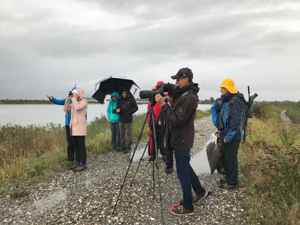 Ausgerüstet mit wasserfestem Spektiv und Ferngläsern kann der Regen der Exkursionsgruppe im Rheindelta nichts anhaben. © Christina Schwann Ausgerüstet mit wasserfestem Spektiv und Ferngläsern kann der Regen der Exkursionsgruppe im Rheindelta nichts anhaben.