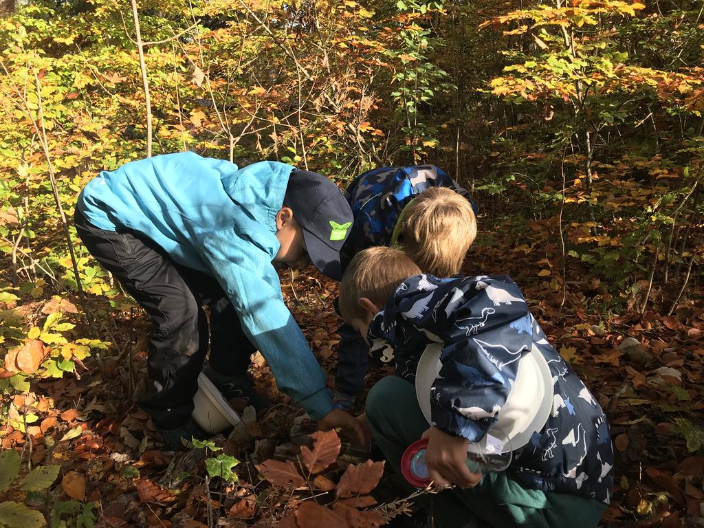 inatura - Natur mach Schule © Christina Schwann inatura - Natur mach Schule