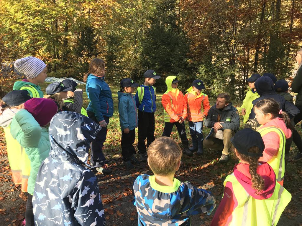 Mit der Volksschule Bersbuch im Wald © Christina Schwann Mit der Volksschule Bersbuch im Wald