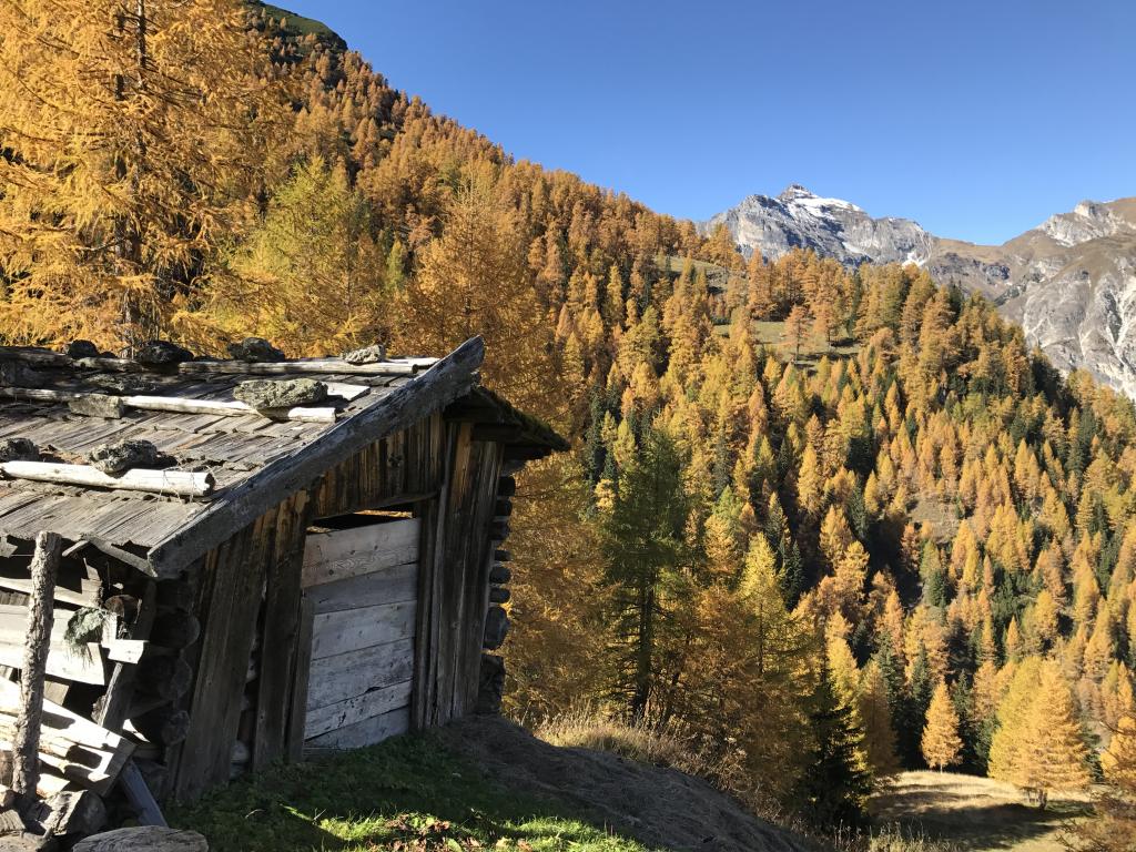 Lärchenwiesen als Resultat eine traditionellen Almwirtschaft.