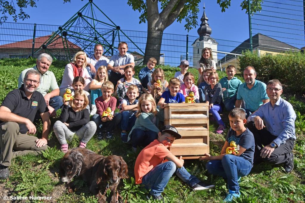Insektenweide © Sabine Hummer Team für das Projekt