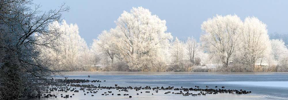 Veranstaltungstipps Winter © pxfuel.com Thiersee