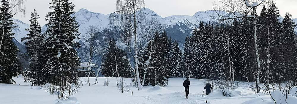 Veranstaltugstipps-winter_wasermoos