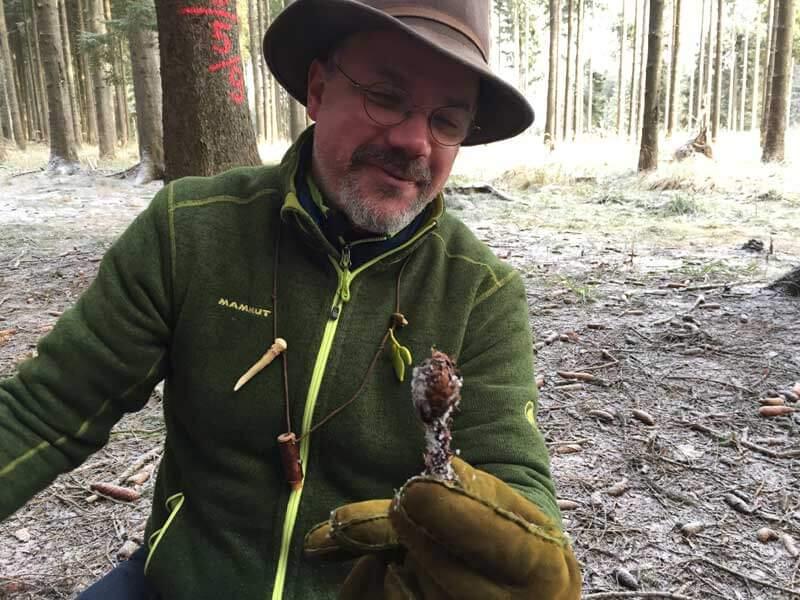 zapfen2 © Marcus Zuba mit einem Zapfen, den ein Eichhörnchen übrig gelassen hat. © ruhm perdomo
