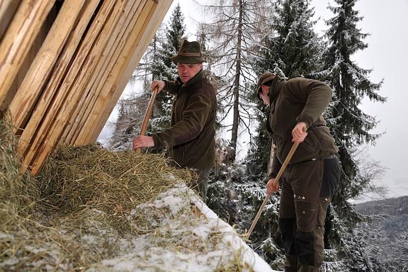 Berufsjäger Bruno Gruber (links) bereitet die Schaufütterung vor / (c) NPHT, F. Rieder