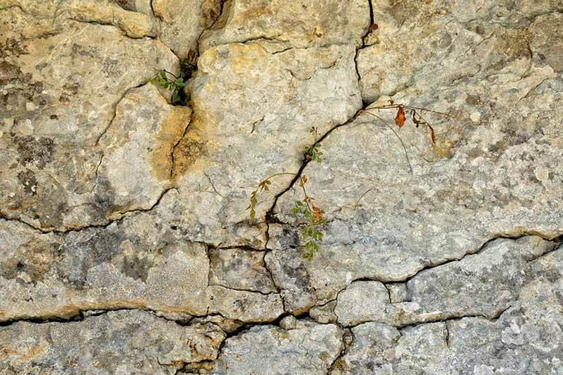 Auch in Felsritzen kann sich Permafrost bilden.
(c) pixabay © Auch in Felsritzen kann sich Permafrost bilden.
(c) pixabay