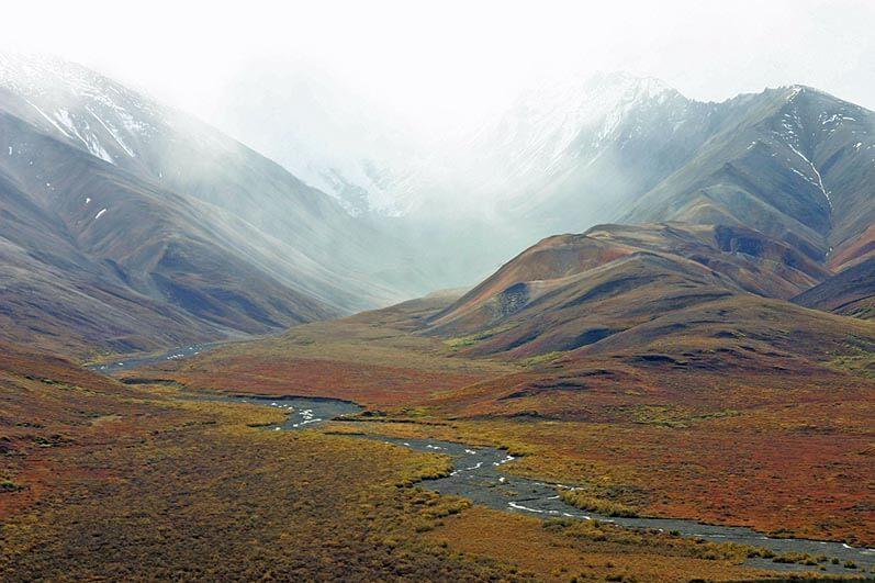 Tundra
(c) pixabay © Tundra
(c) pixabay