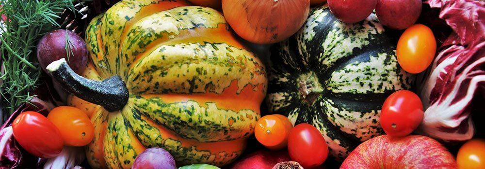 was-tun-bei-schlechtwetter_raritaeten-gemuese was tun bei schlechtwetter