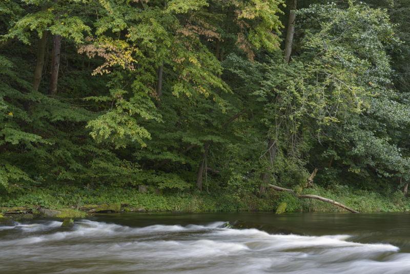 Flussrauschen ade? Bei Rosenburg soll der Kamp bis zu 1,5 Meter ausgebaggert werden. (c) Matthias Schickhofer © Matthias Schickhofer Kamp