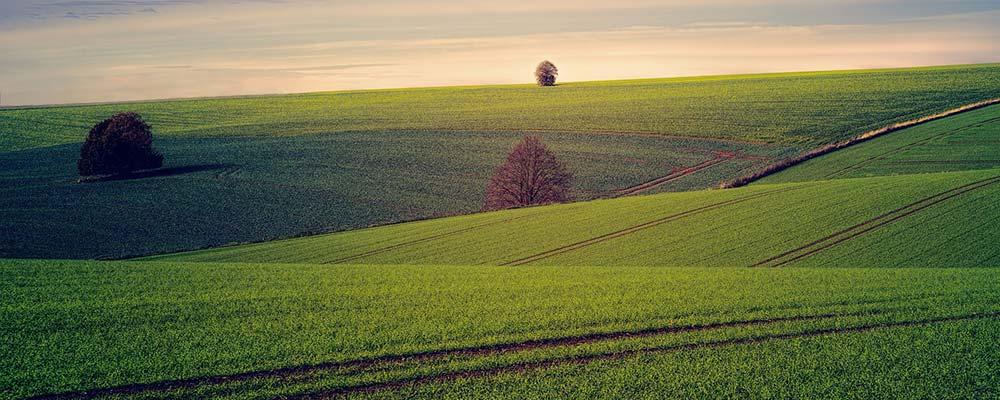 insektensterben, Landschaft mit Feldern in der Dämmerung