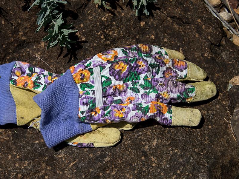 Tipps-fuer-den-gemeinsaftsgarten © sandid/Pixabay.com (CC0) Gartenhandschuhe
