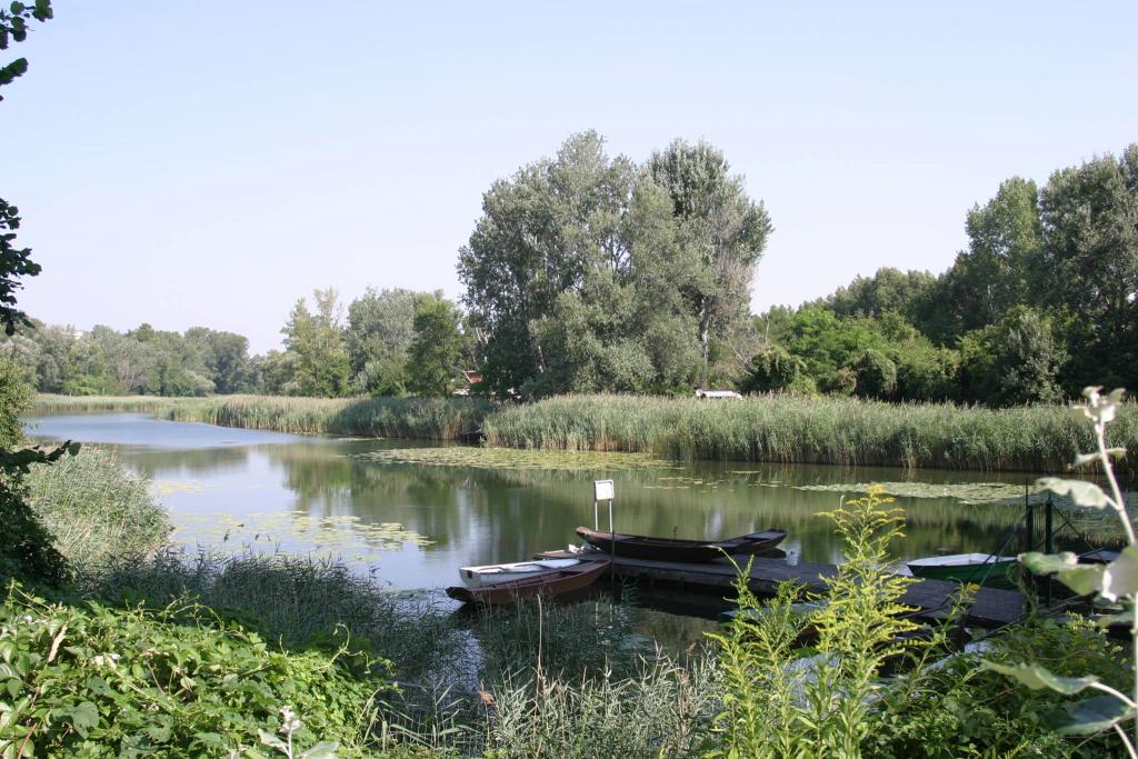 Gewässer am Barbenhäufel © Michael Graner Gewässer am Barbenhäufel