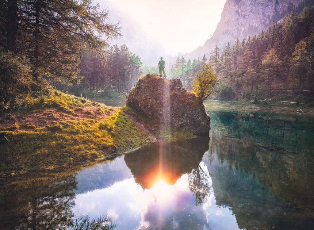 Verhalten in der Natur © Pexels Verhalten in der Natur