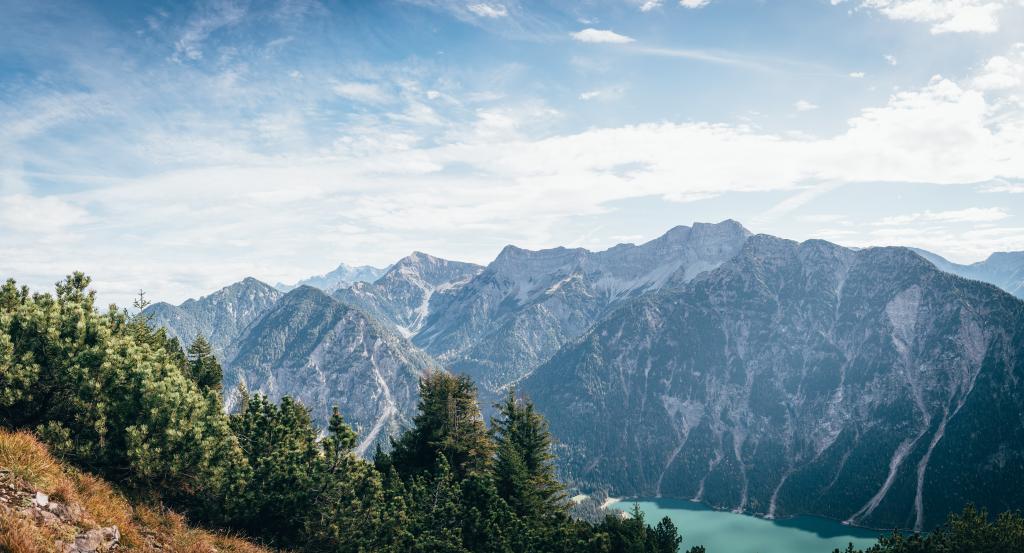 Regeln in der Natur © Pexels Regeln in der Natur