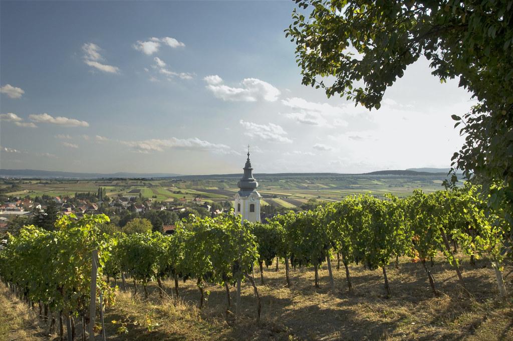 © Wienerwald Tourismus GmbH / Rita Newman Weingarten Thermenregion