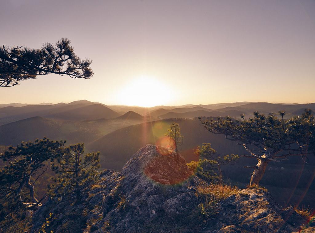 © Niederösterreich Werbung / Andreas Hofer Wienerwald im Frühling
