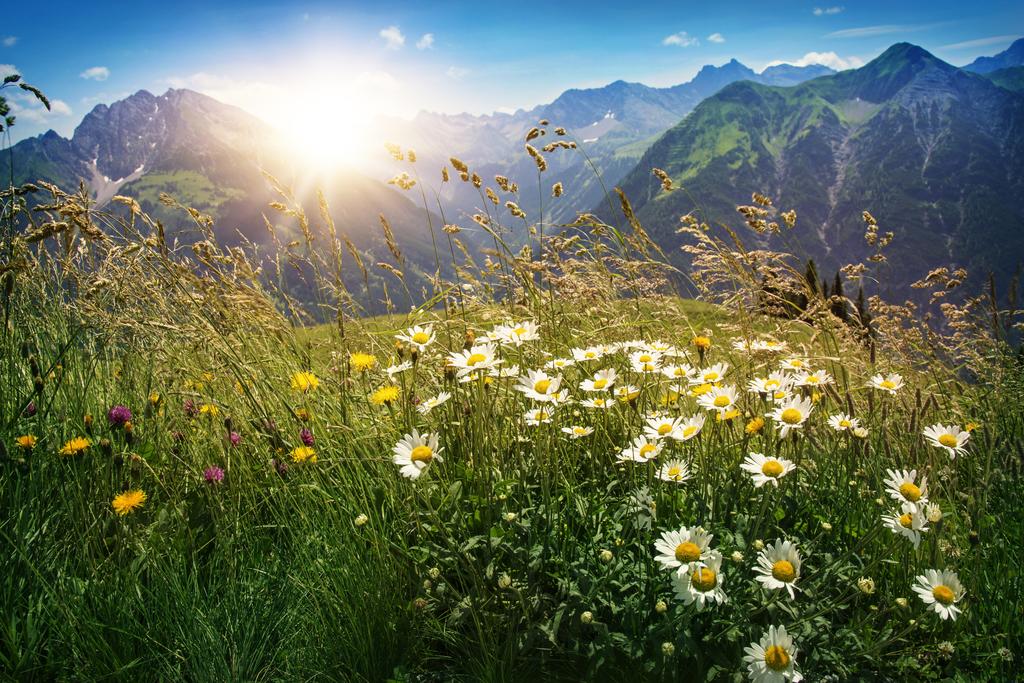 © Getty Images Berge in Vorarlberg