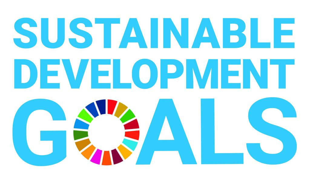 © United Nations SDG Logo
