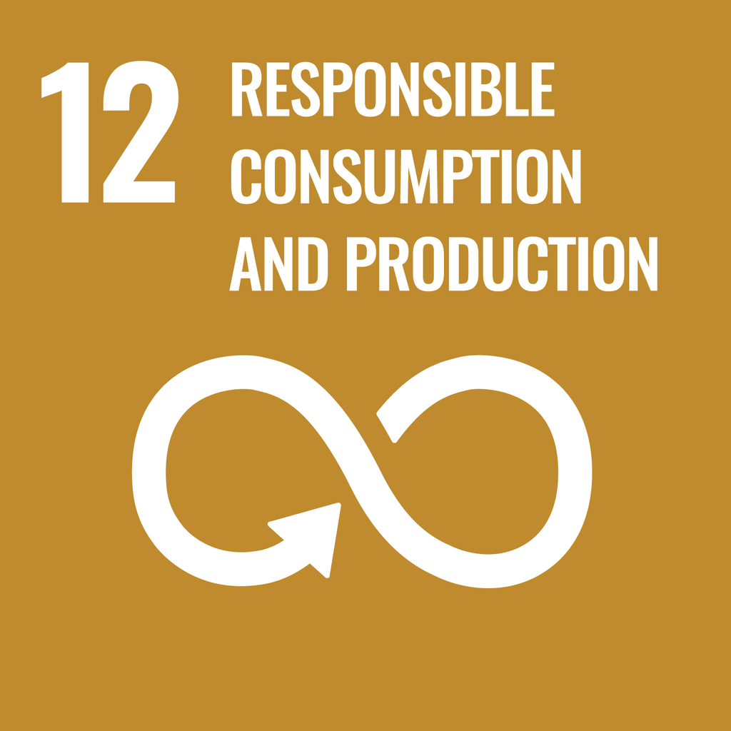 © United Nations Responsible consumption and production