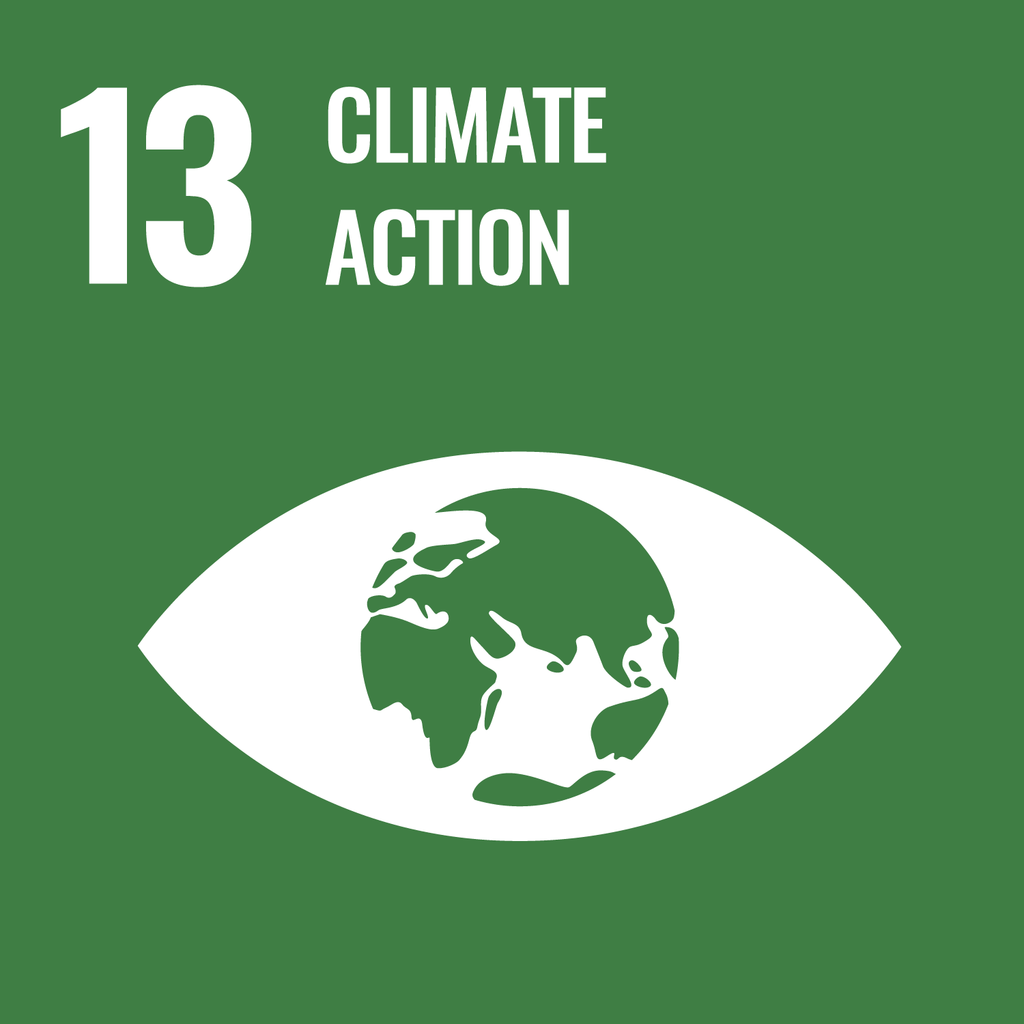 © United Nations Climate action