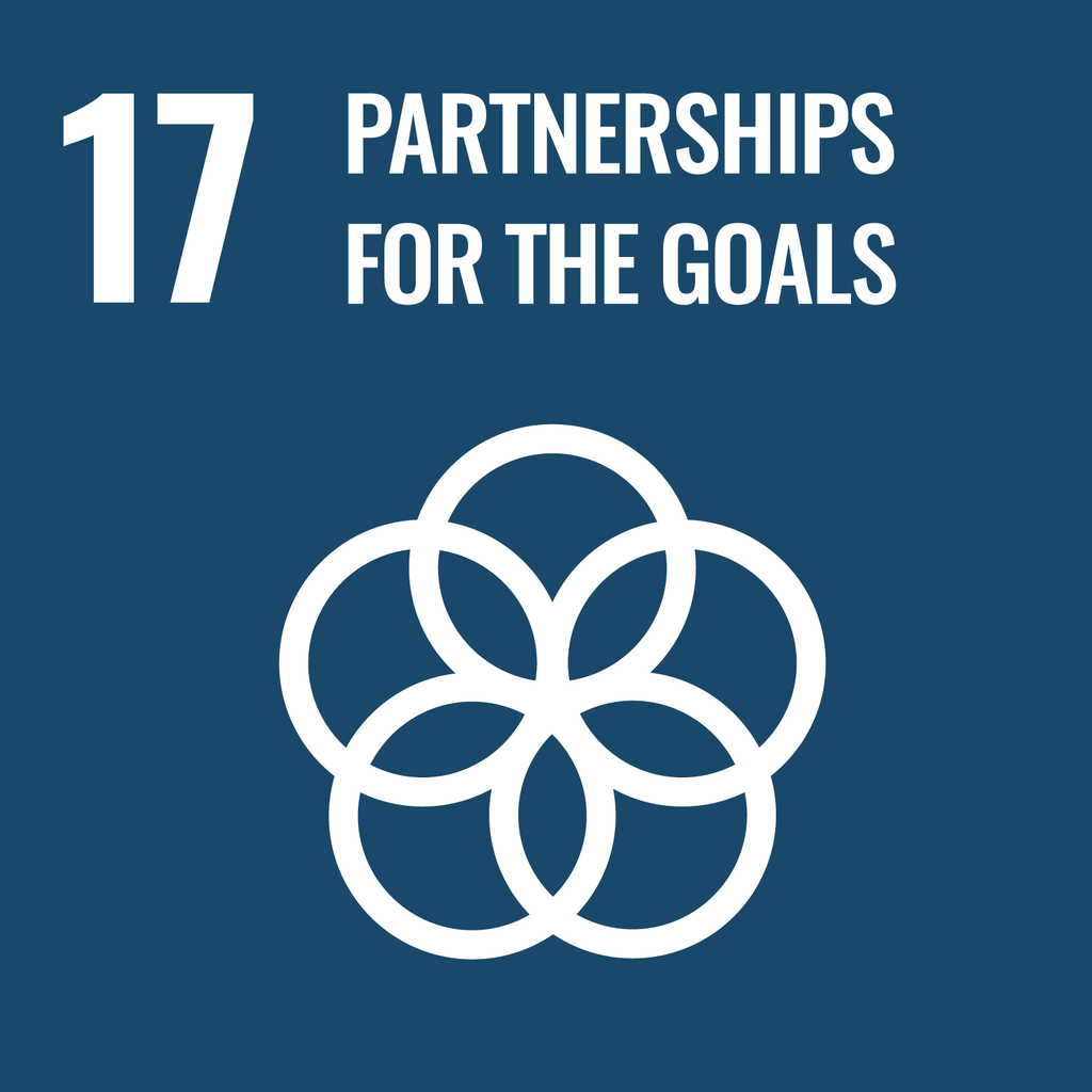 © United Nations Partnerships for the goals