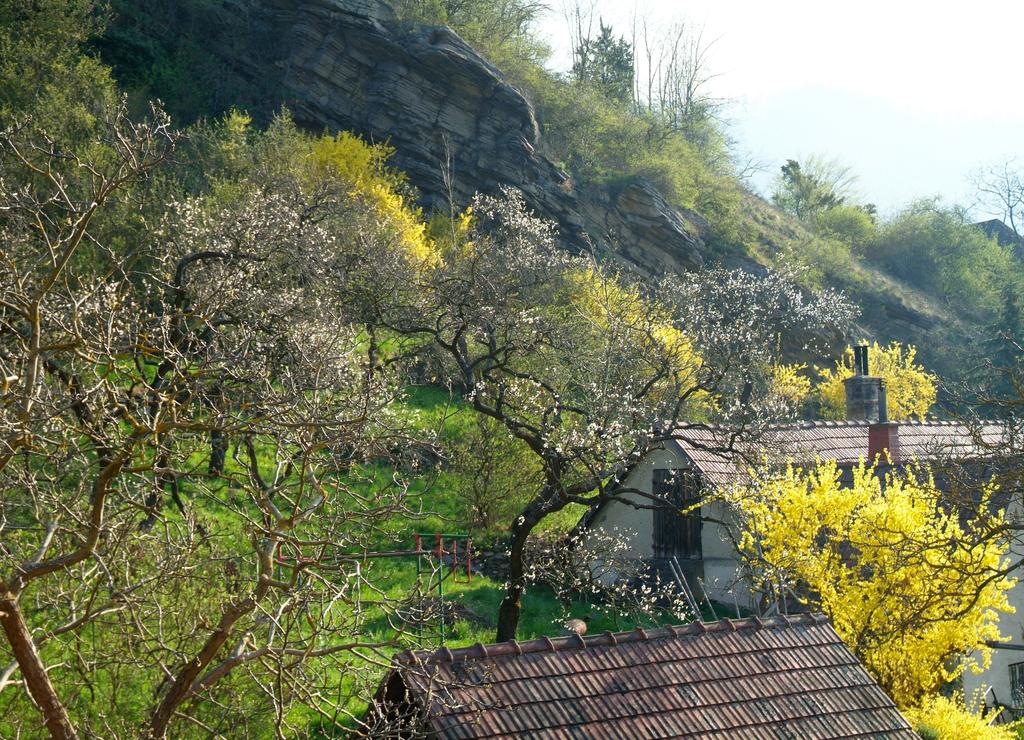 Garten von Marion Jaros