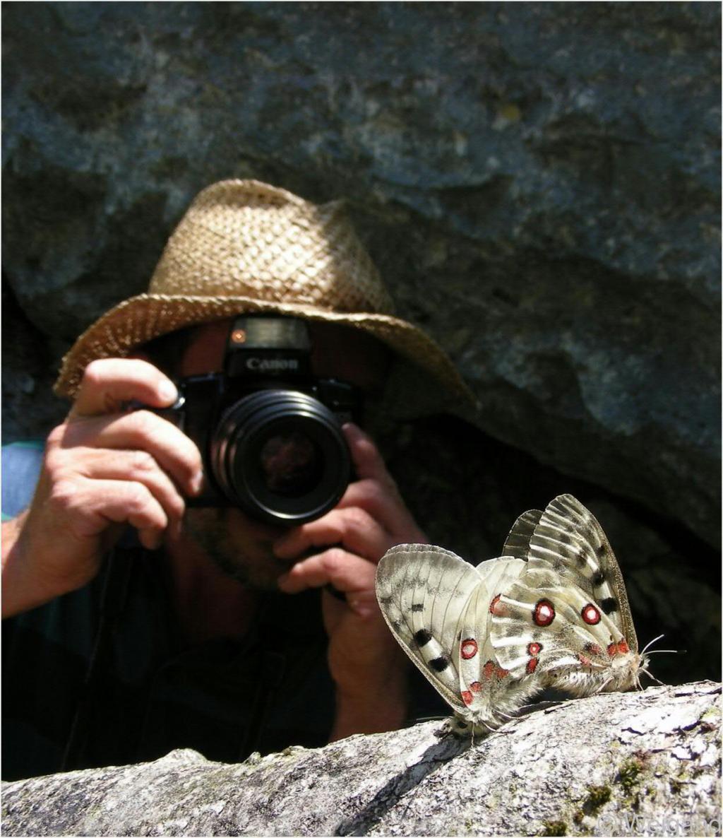 Viel-Falter, das Monitoring lebt durch engagierte citizens © Weigand Citizen Science - beim Fotografieren von Schmetterlingen