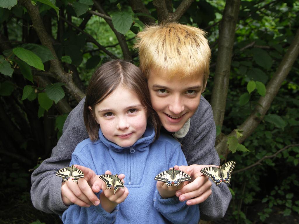Zwei Kinder mit frisch geschlüpften Schmetterlingen auf den Händen