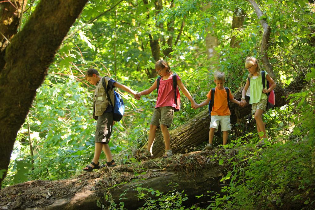 © Hurst Photo/shutterstock.com Kinder im Wald