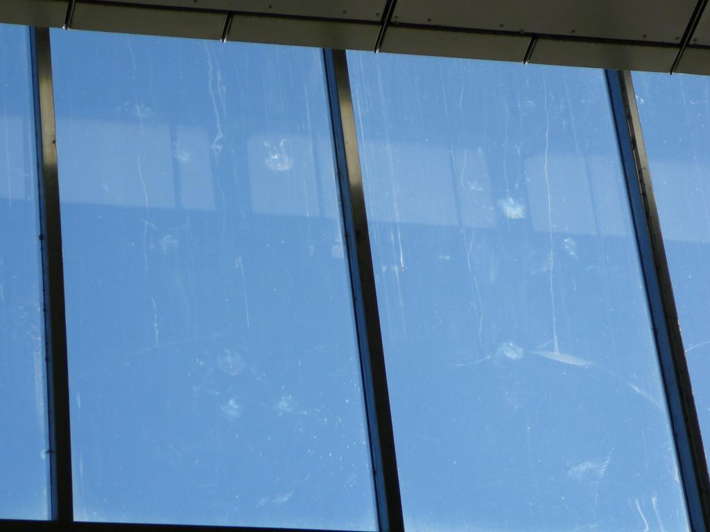 Mehrere Anprallspuren auf einem Quadratmeter Glasfläche zeugen von der Gefahr, die von dieser Vogelfalle ausgeht.