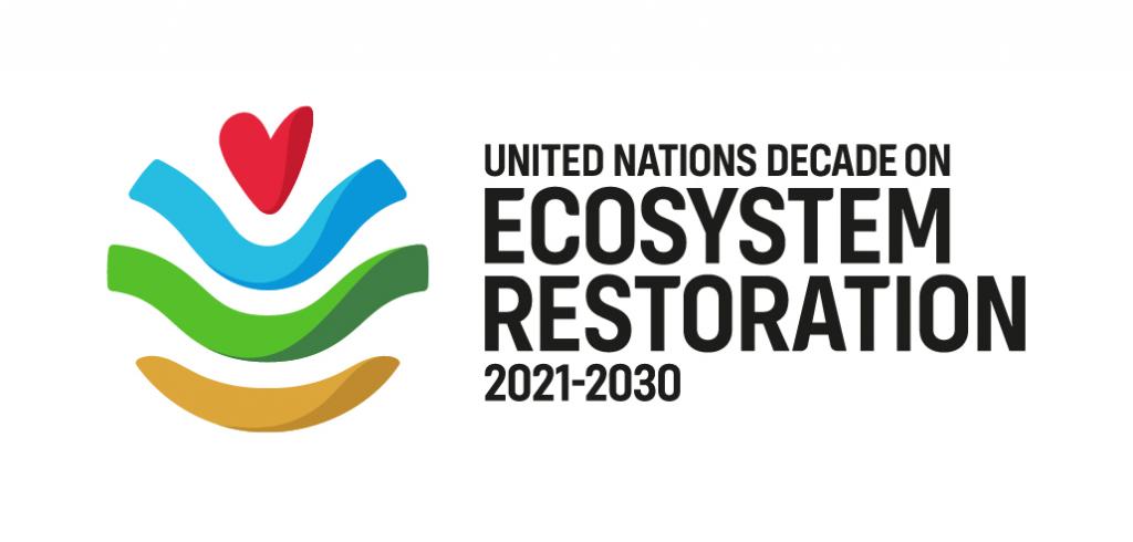 Logo UN-Dekade zur Wiederherstellung von Ökosystemen