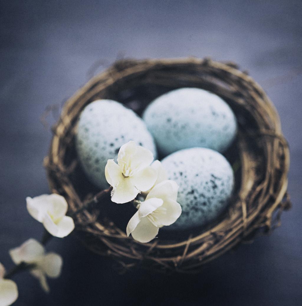 Blaue Ostereier im Nest mit zarten Frühlingsblüten