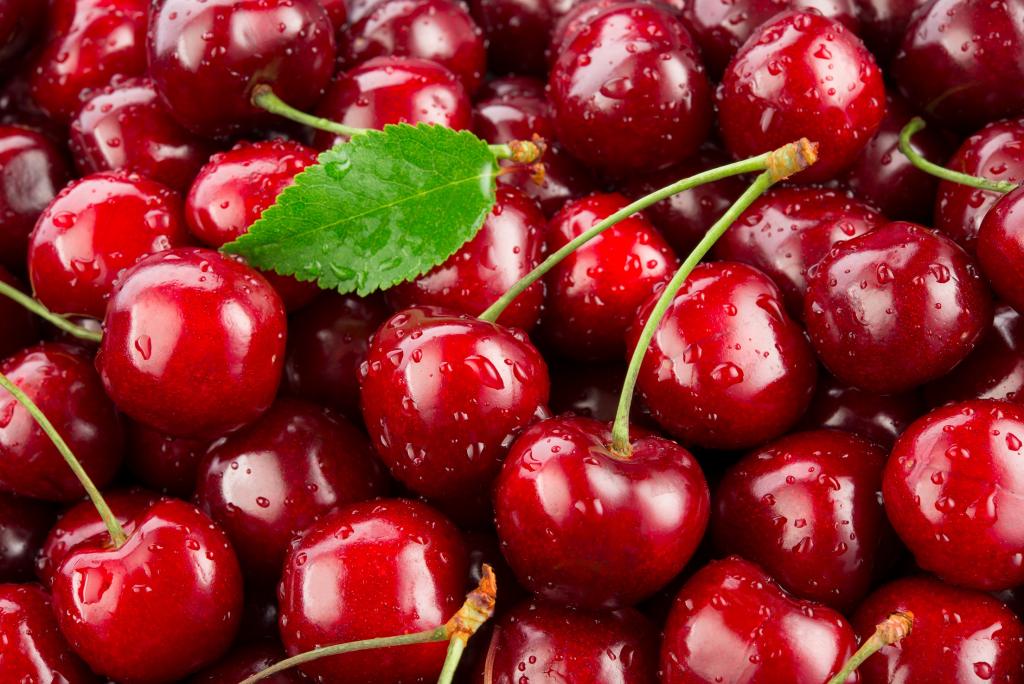 © Tim UR / www.shutterstock.com Rote Kirschen