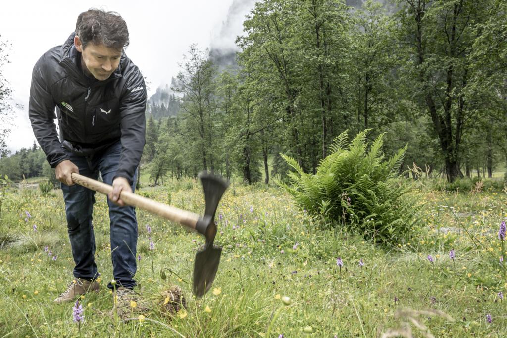Durch das Pflanzen von jungen Grauerlen wird der alpine Auwald zukunftsfit © Flo Smith Mann mit Hacke im Auwald