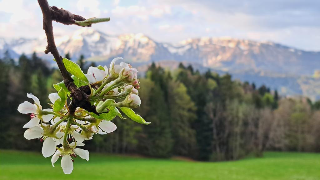 © Matthias Merta/Naturpark Nagelfluhkette Naturpark Nagehlfluhkette