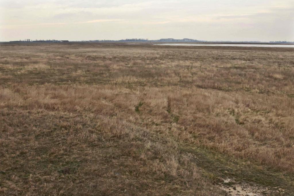 Lange Lacke West weitgehend verlandet