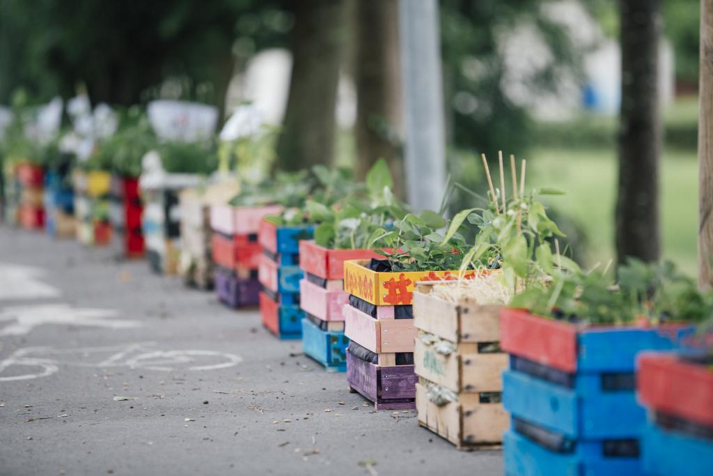 © Obst- und Gartenkultur Vorarlberg Kistengärten